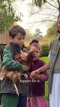 Rehoming our rescue chickens