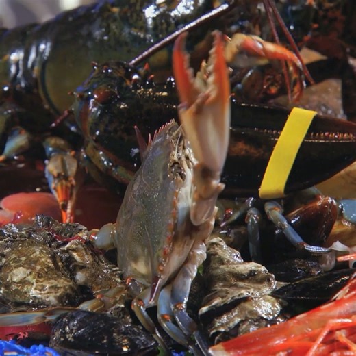 Is there such a thing as too fresh? 🦀😅 📺: #MasterChef on Hulu | Food Club FOX