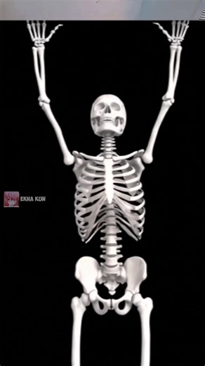 Hilarious Absurd Memes That Will Make You Laugh