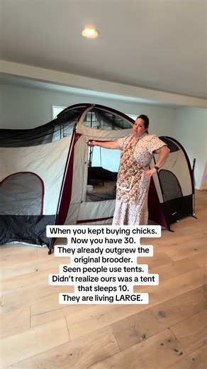 Creating the Perfect Chicken Brooder for Your Flock