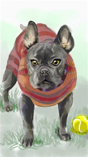 Live Stream Shorts: Drawing French Bulldog #drawing #art #sketch #bulldog #cute #pets #frenchbulldog