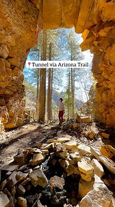 1.7K views · 5K reactions | Arizona is known for its unique history...