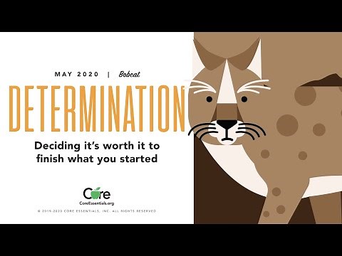 Character Education - Determination