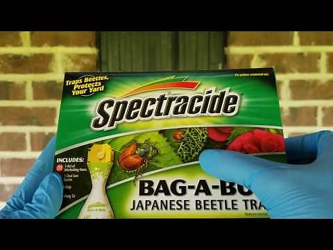 Spectracide Bag A Bug Japanese Beetle Trap | Part 1