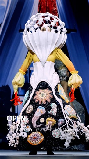 67K views · 1.8K reactions | Congratulations to the 2025 Open Section award winners: ✨ Winner: Meine Erste Liebe, Fifi Colston, New Zealand ✨ Runner-up: The Music Within, De Lamby Wulff, Australia | World of WearableArt (WOW) | Facebook