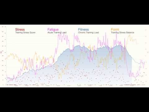 What is the Performance Management Chart