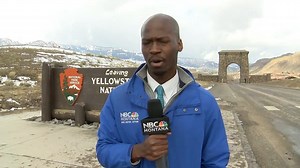 Baltimore-native Deion Broxton, a reporter with our NBC sister station, KTVM, encountered a herd of bison walking right toward him! 😱 | WBAL-TV 11 Baltimore