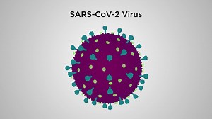 5.3K views · 12 reactions | Can a Virus Neutralization test be reinvented for cutting-edge diagnostics? The team at Helmholtz Munich has developed a revolutionary virus-neutralization assay, based on virus-like particles (VLPs), to measure the concentration of neutralizing antibodies contained in body fluids (such as serum) of vaccinated or infected individuals. Prime target being SARS-CoV-2. Watch the animation to find out more: | Sci Ani | Facebook