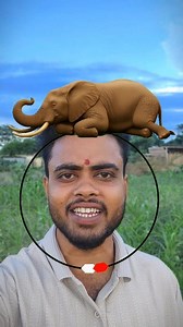 Elephant fight puzzle game 🎯 #elephant #fighter #viralreelsシ #fb #fbreels2025ツ #foryoupageシ #viral #fbreelsfypシ゚ #puzzle | Facts Mind 99