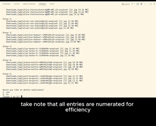Ein python-tool erstellen, um doppelte dateien zu finden und sicher zu entfernen