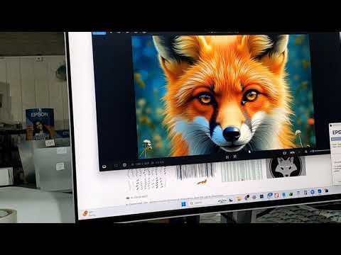 Original ink to Sublimation Ink Change Process in Epson Printer,