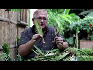 Agribusiness Webinar: Why Small Farm and Businesses are more likely to Survive the Pandemic