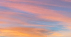 Video by Peggy Anke on Pexels