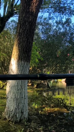 149K views · 591 reactions |  Silver Bullet Smart Bite Alerts for Every Angler Two ways to use: ✅ On the Line — Clip to your fishing line ✅ On the Rod — Mount on your rod ️ IP66 Weather-Resistant – Works reliably in rain or wind  App-Controlled – Customize colors, sensitivity, and alerts Silver Bullet delivers accurate bite alerts no matter how or where you fish. . . #fishing #carpfishing #carpfishinguk #bobbin #bitealarm | Rippton Smart Fishing Tackle | Facebook