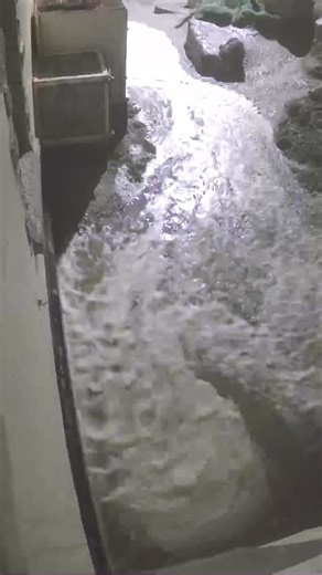Nicholas C Williams on Instagram: "Footage from above my studio door, during this morning’s high tide with 25ft waves hitting the coast of Cornwall. I’m very fortunate to have worked out of the same studio for over thirty years, a former lifeboat station. The building was built in 1899 and I restored it in 1994. As I paint in a blacked-out studio, the building’s dark, cavernous space is perfect for my method of working. However, (although it comes with the territory) in recent years, the buildin