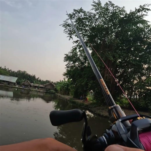 Two-tailed shrimp and 9078 jighead used for catching snakehead fish in open areas, lakes, etc. #f...