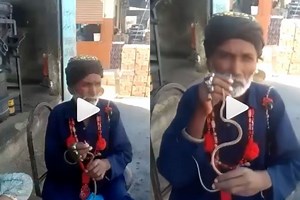 Viral Video: Man Inserts Snake Into His Nose, Leaves Netizens Shocked | WATCH