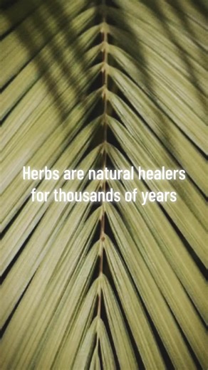 joycethethunder on TikTok