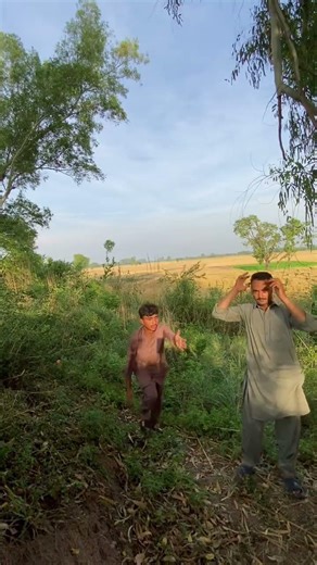 The gorilla came out of the hole, took the bag, and then went back inside.