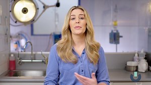 Pet Care 101: Essential Online Course with Dr. Kate