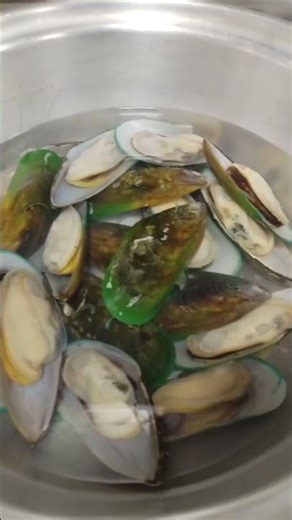 ASMR SEA SHELL #seafood #shell #seashell #asmr