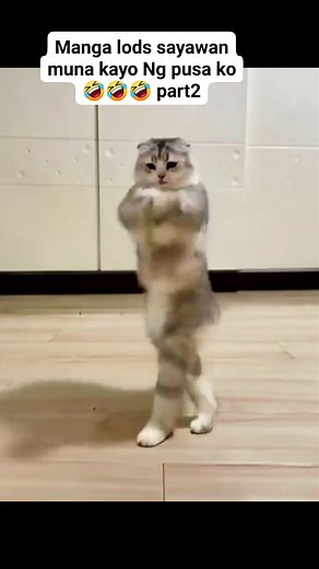 Part2 dance nmn miming 🤣 | Pangit Blogs