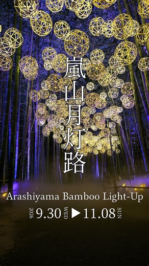 【京都 × 期間限定】”嵐山月灯路”幻想的な竹林ライトアップ！🌙｜2026年9月30日～11月08日