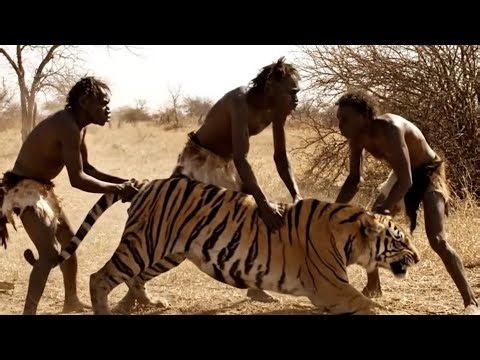 Life Millions of Years Ago | Could Humans Really Defeat Fierce Predators?