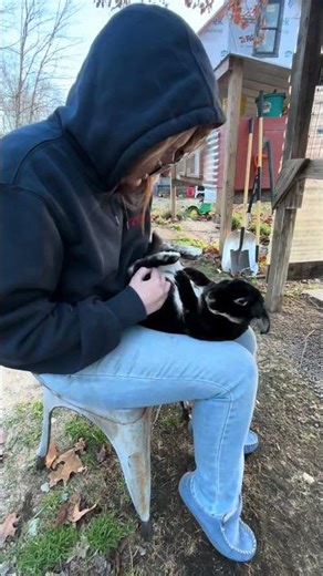 Rabbit nail trims don’t have to be stressful — for you or your rabbit 🐰✂️
