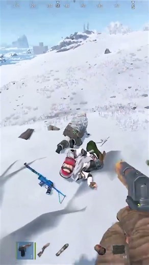 DE P250 A FULLES #rust