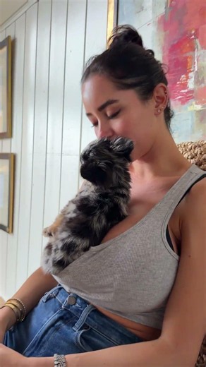 Smallest dog in the world but thrones like a princess #funnypuppy #puppylife #puppyvideos