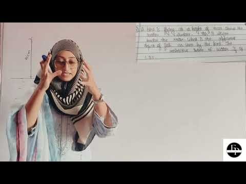 Ray Optics | Real & Apparent Depth | Class 12 Physics | Apparent Depth of Fish Seen by Bird