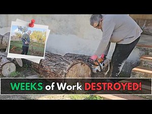 (16) Sicily Real Estate: Renovating My Villa in Italy Step by Step!