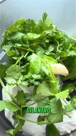 Spicy Jalapeño Slaw: Creamy, Zesty, and QUICK! #shorts