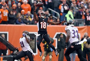 Five of the best catches from this year's NFL action