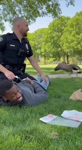 27K views · 125 reactions | When you're just trying to do your job but the local goose gang has other plans for your lunch break! #goose #policeofficer #sandwich | Right Now | Facebook