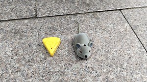 Watch rc mice remote control rat animal car vehicel kids toy gifts on Amazon Live