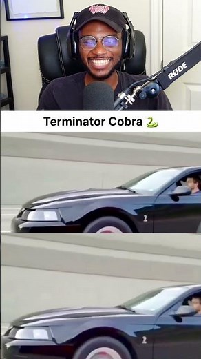 Terminator Cobra 🆚 Corvette C6 Z06 Roll Race