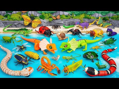 🦎toy asmr🦎 2 Hours ZURU Robo Alive Insect Collection | Robo Snake & Lizard & Butterfly (No Talking)