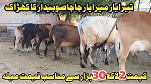 31K views · 1K reactions | Farming And Business Ideas on Reels | Facebook