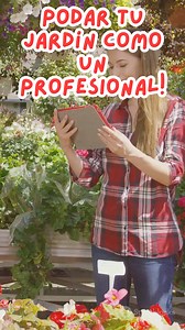 1.6K views | Cuidado de jardines profesional | jardinería para principiantes | Facebook