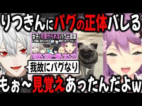 Ritsuki finds out that his beloved pug is actually Kuzuha [Clip/NEWTOWN/GTA/Nijisanji]