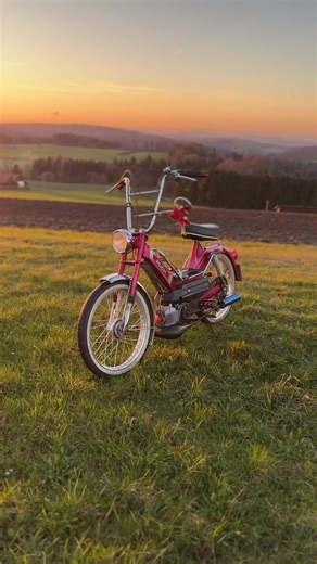 Exploring the World of Töffli in Switzerland