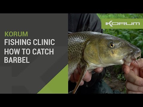 Barbel Fishing On The Float & Feeder
