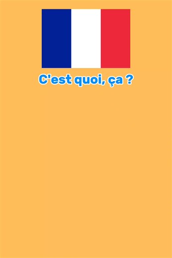 Learn Free French: Basic French Words & Lesson for Beginners