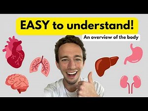 Anatomy and Physiology 101: The ULTIMATE Overview (Learn A&P Basics FAST!)