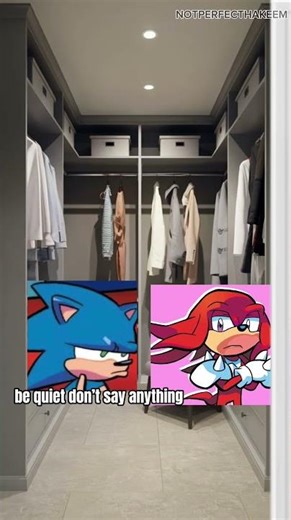 2 Hedgehogs & a Echidna #sonic #memes #sonicthehedgehog #knucklestheechidna #shadowthehedgehog