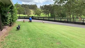 72K views · 6.1K reactions | A weekend away at the farm is a lot of...