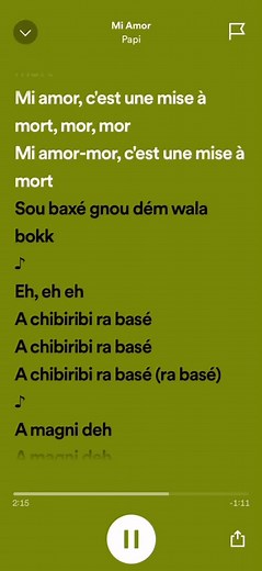 Papi Mi Amor - Découvrez les paroles et la musique