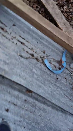 The tool s you need to tear down barn!! what would you use to make it easier???#fypシ゚viral #viral